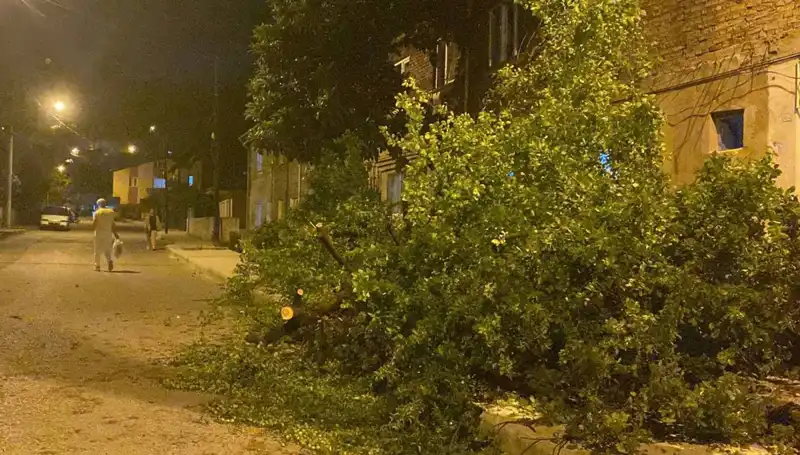 Karabük'teki Fırtına: Doğal Hayatı ve İnsanları Nasıl Etkiledi?