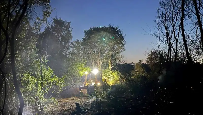 Edirne'deki Orman Yangını Korku Dolu Anlar Yaşattı, Sonunda Kontrol Altına Alındı