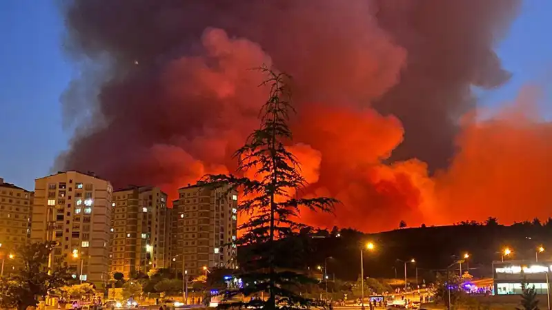 Bursa'da Yangın Alarmı: Şehir Küllere Dönüşebilir mi?