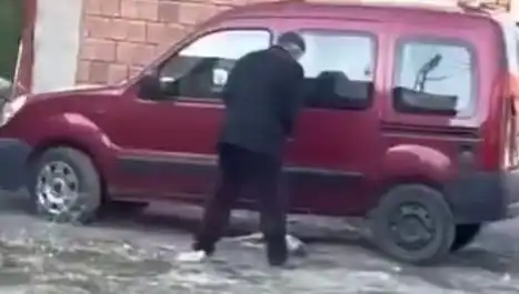 Sokak Ortasında Köpeğe Şiddet: İnsanlık Dışı Olayın Ardındaki Gerçekler