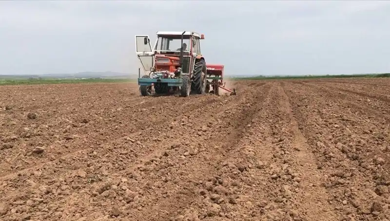 Son 35 Yılda Yaşanan En Kurak Mart Ayı: Yağışlar Yüzde 59 Düştü