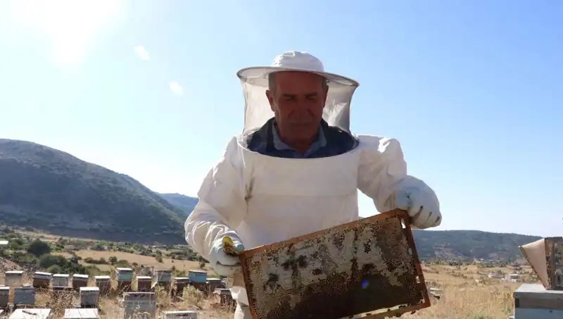 25 Yıl Önceki Hayalini Gerçekleştiren Zanaatkar: Yıllık 2 Ton Üretim Başarısı