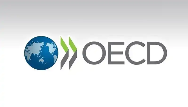 OECD, Türkiye Ekonomisi İçin Büyüme Tahminlerini Güncelledi: Ne Beklemeliyiz?