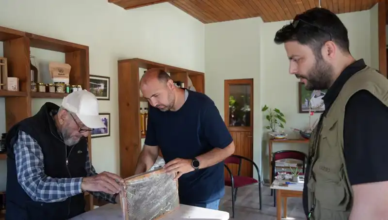 Doktor Tavsiyesiyle Tüketilmesi Gereken Bu Doğal Ürün: Şifa mı, Tehlike mi?