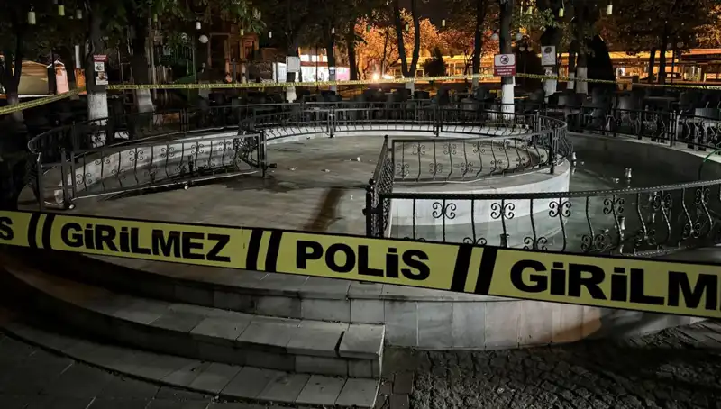 Kırklareli'nde Süs Havuzunda Yaşanan Dehşet: Dört Kişi Hastaneye Kaldırıldı!