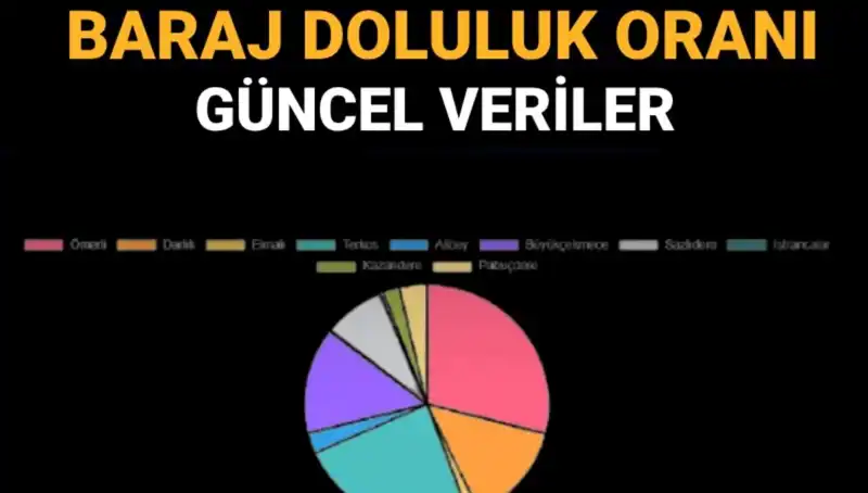 İstanbul'un Baraj Doluluk Oranları: Güncel Veriler ile Susuzluk Endişesi