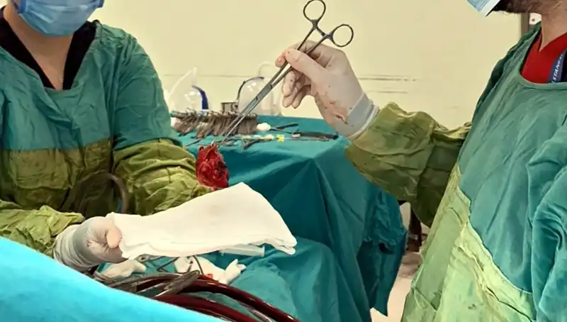Kalp Kapağı Çürümesi: 7 Saatlik Zorlu Ameliyat ve Mucizeler