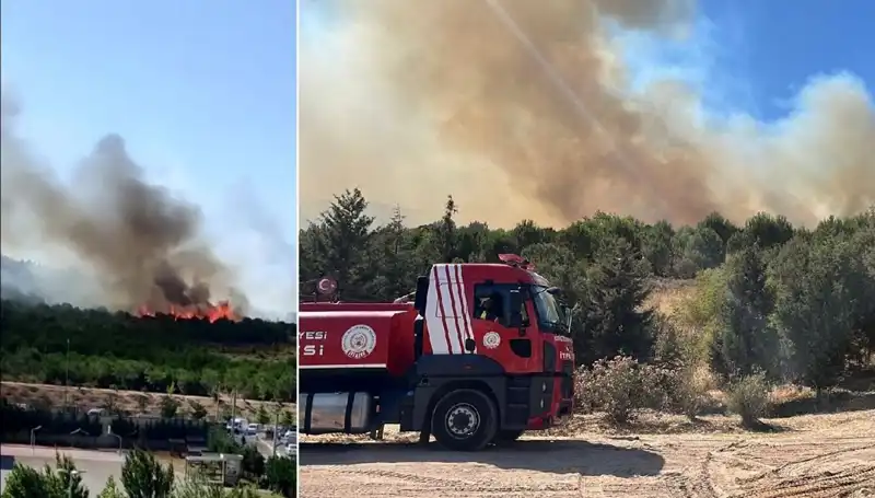 Gebze Orman Yangını: Doğa Ve Hayvanlar Tehlikede, Yetkililer Harekete Geçti