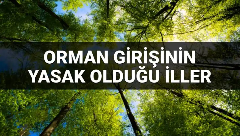 Ormanlara Girişin Yasaklandığı İller: 2025'te Hangi Şehirler Etkilenecek?
