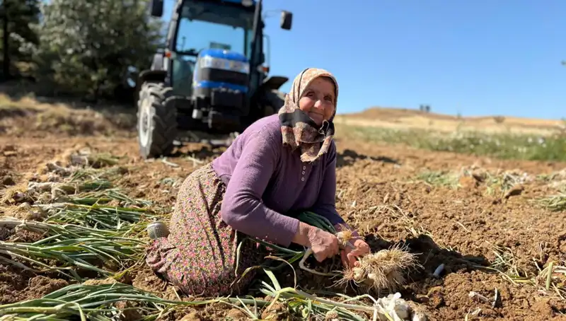 Tarımda Devrim: Selenyum Zengini Ürünlerin Günlük Geliri 1200 Lira